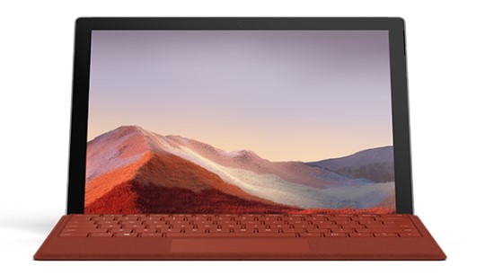 西塞山清洁和维护 Surface